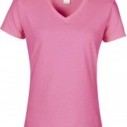 Premium Cotton Ladies’ V-Neck T-shirt